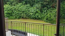 Springside Walk (D26), Terrace #485441421